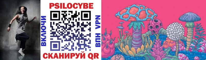 Псилоцибиновые грибы Psilocybe  как найти закладки  Хвалынск 